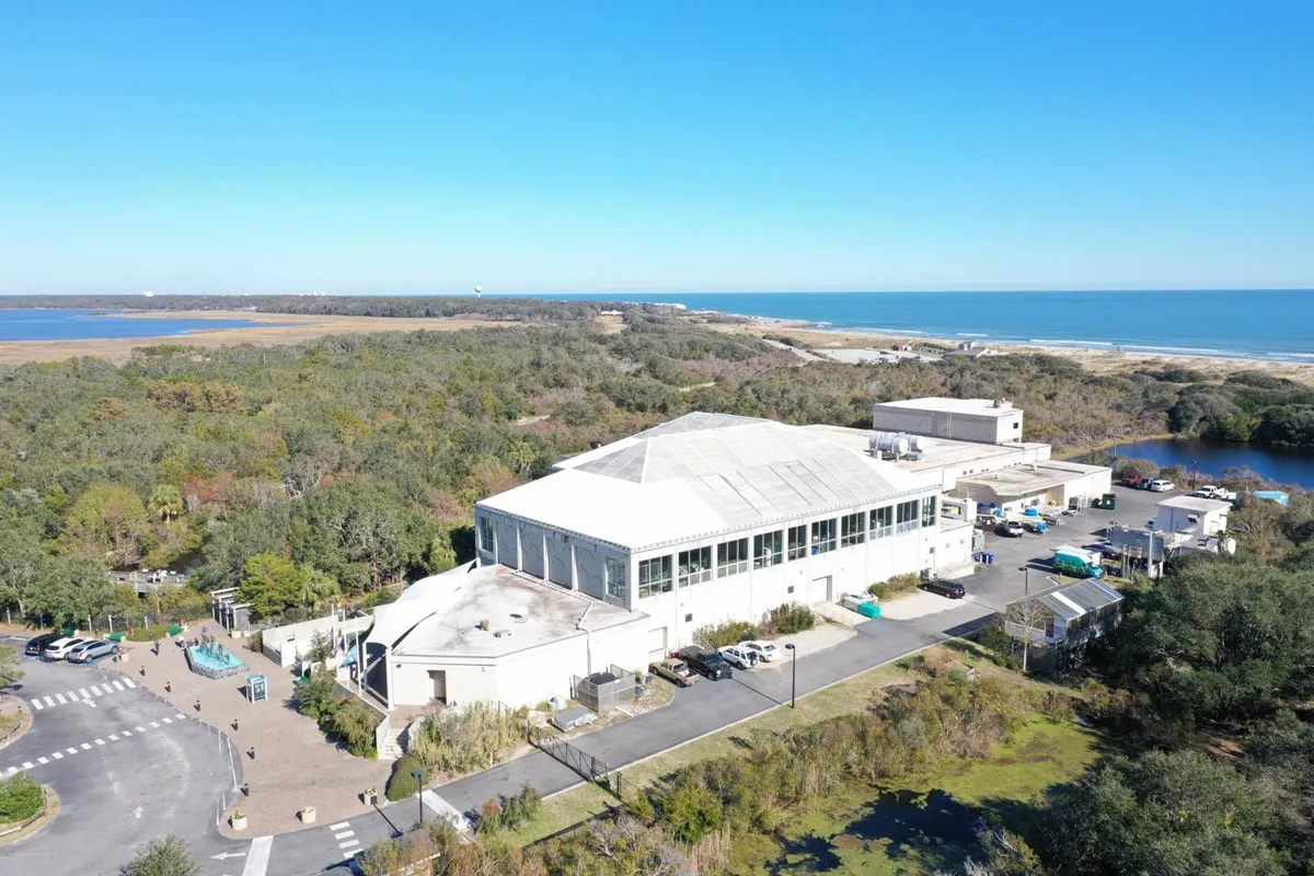 This exterior image showcases the main resort building surrounded by lush greenery with a view of the ocean beyond. The scene captures the sense of arrival and the property's proximity to natural beauty, hinting at both relaxation and the variety of outdoor activities available.